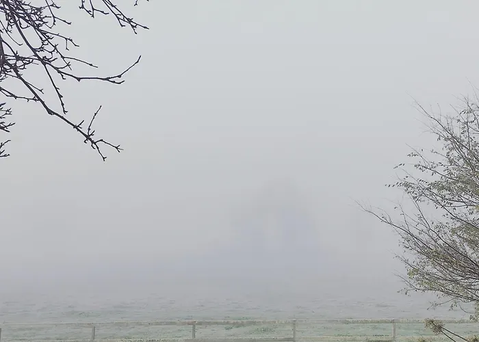 Myrtlemae Farm